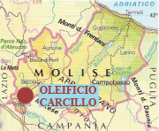 olio extravergine di oliva carcillo